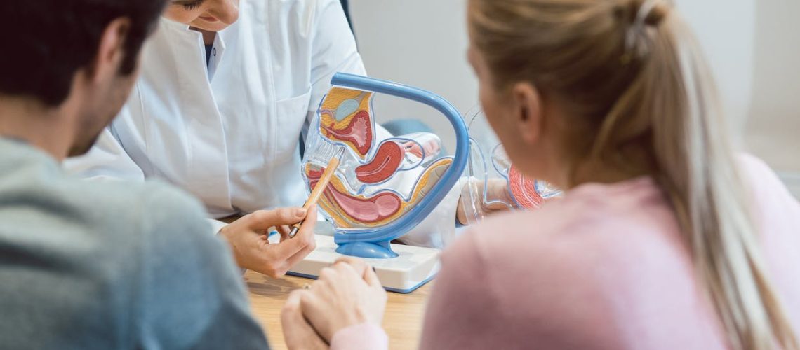 Quels traitements en cas d'infertilité masculine et féminine ?