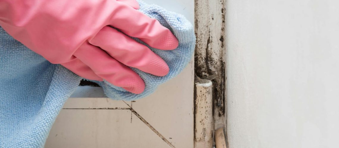 Moisissure dans l’habitat : quels sont les risques pour notre santé ? Moisissure dans l'habitat : quels sont les risques pour notre santé ?
