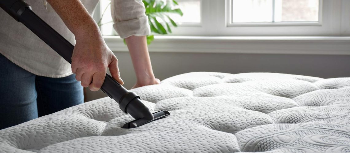 Peut-on voir les acariens à l'œil nu ?